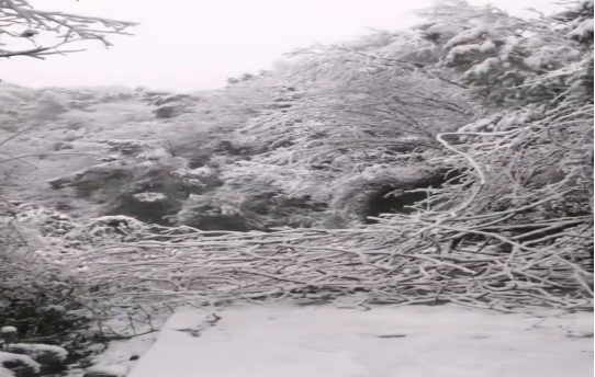 戰(zhàn)暴雪、保供電！湖南發(fā)展鳥兒巢公司應(yīng)對(duì)極端天氣緊急搶修失電故障